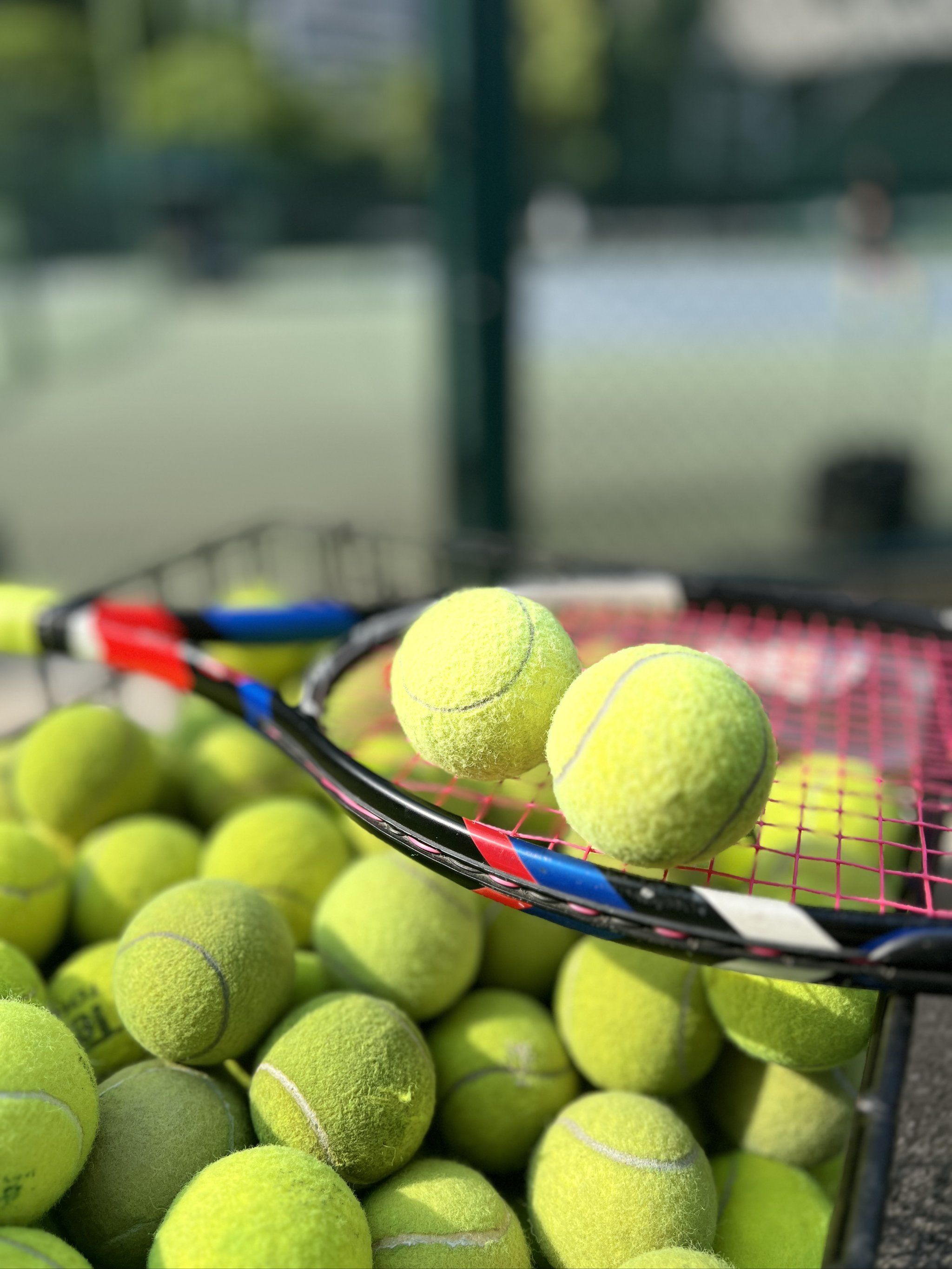 或许我们也 或许我们也